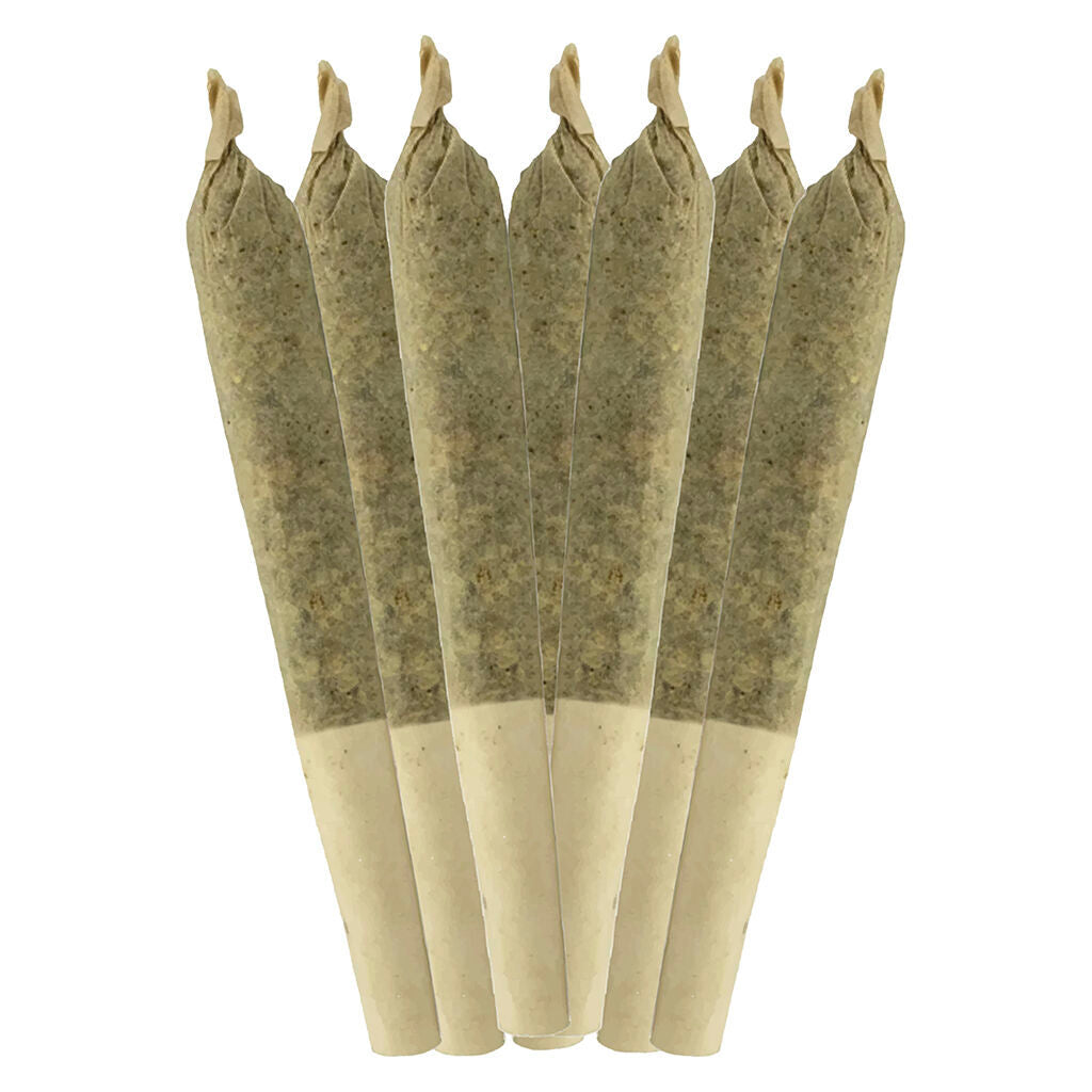 Bluefin Tuna Pre-Roll