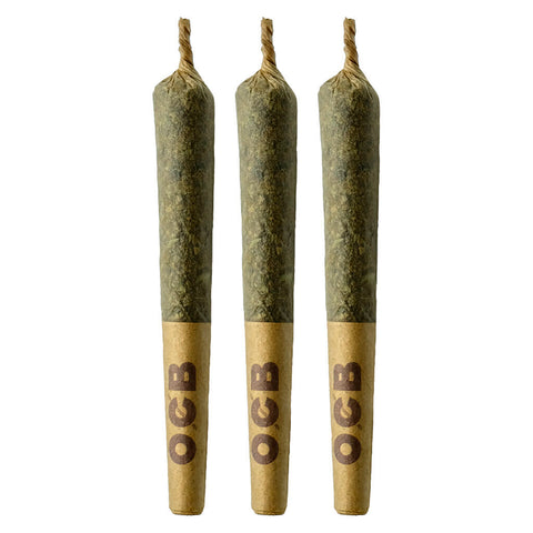 Photo Strawberry Gary Pre-Roll