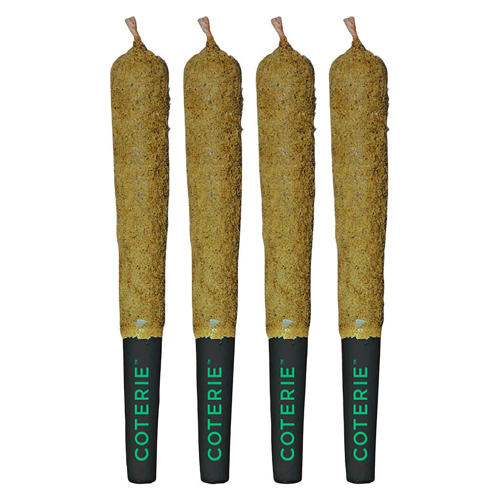 Double-Infused Strawberry Gary Pre-Roll