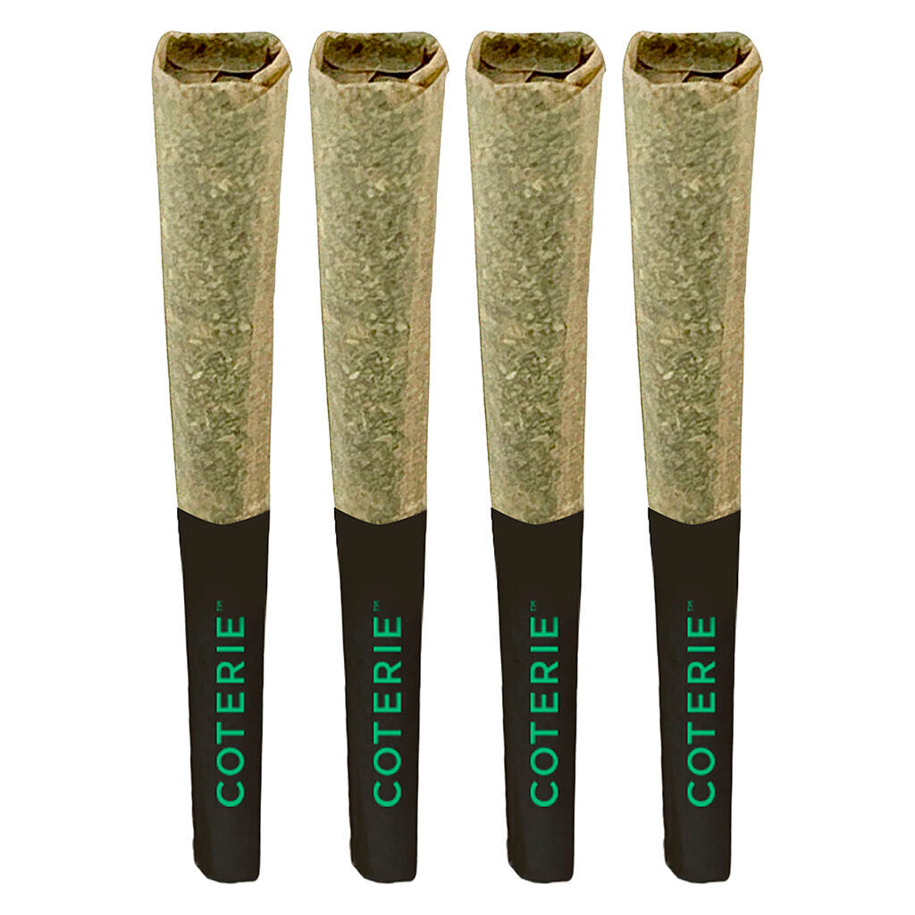Jealousy Pie Pre-Roll