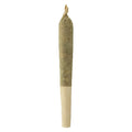 Bluefin Tuna Pre-Roll