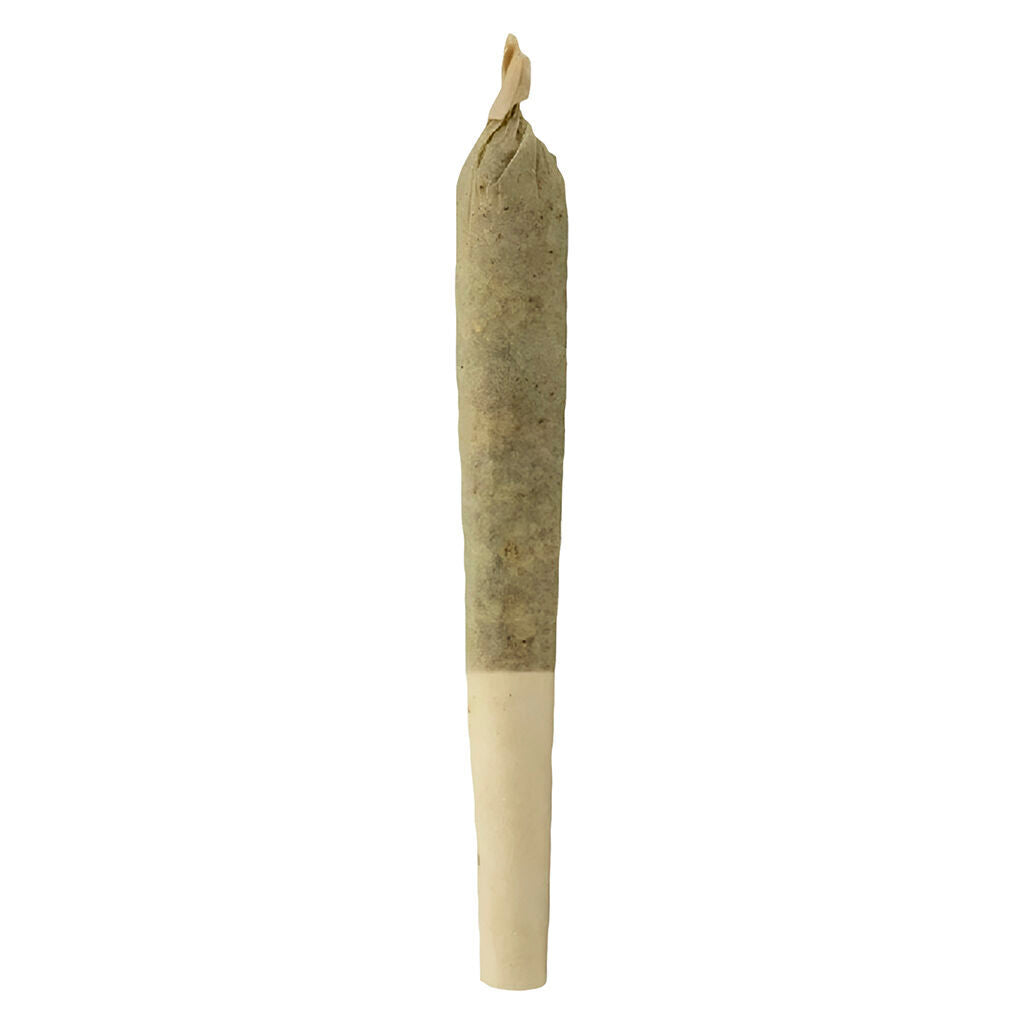 Bluefin Tuna Pre-Roll - 