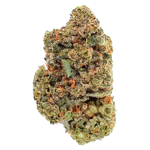 Photo 4th Quarter (Indica)