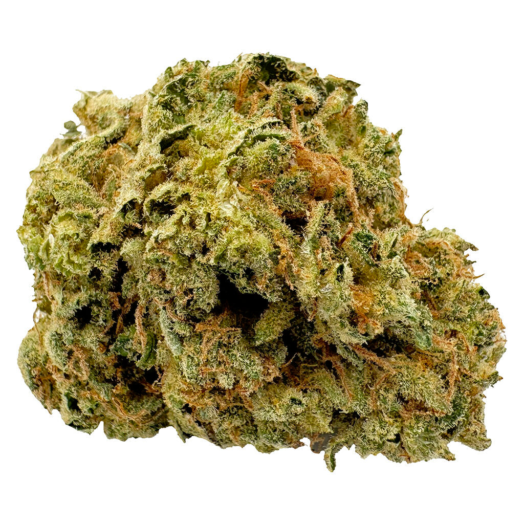1st Quarter (Sativa)