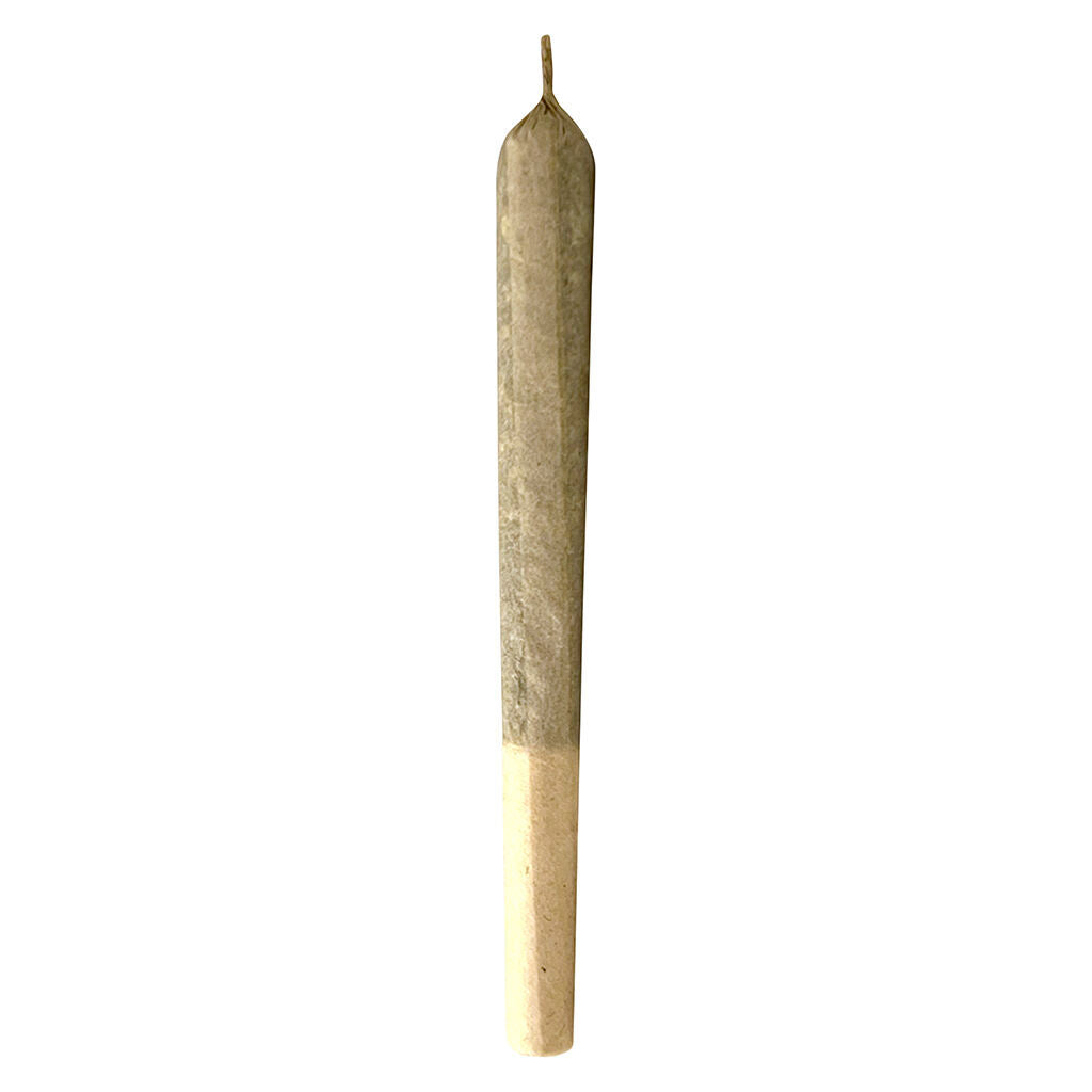 Jungl' Cake Pre-Roll - 