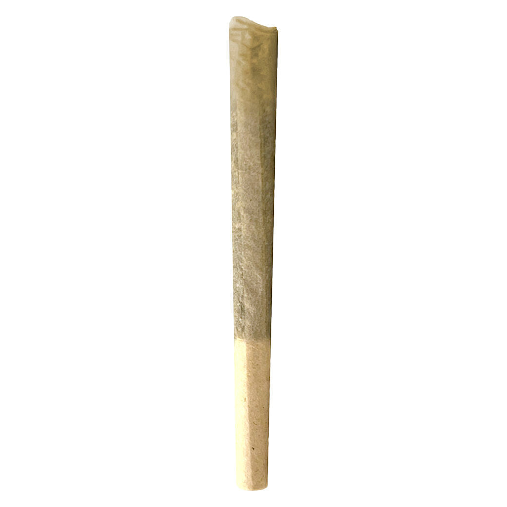 East Coast Dank'z Pre-Roll - 