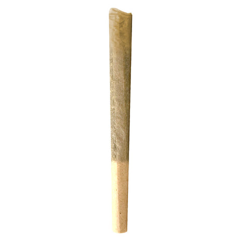 Photo Dante'z Inferno Pre-roll
