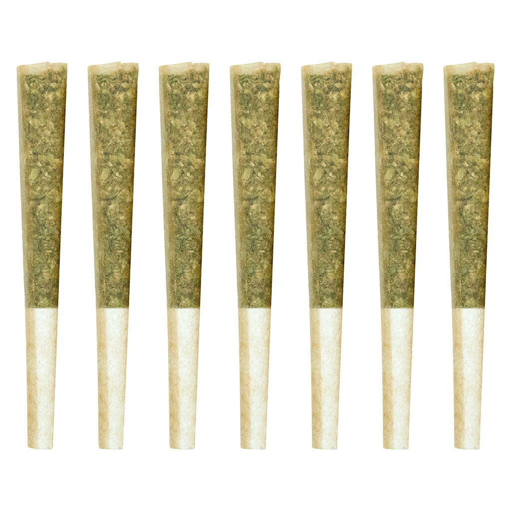 El Jefe Pre-Roll