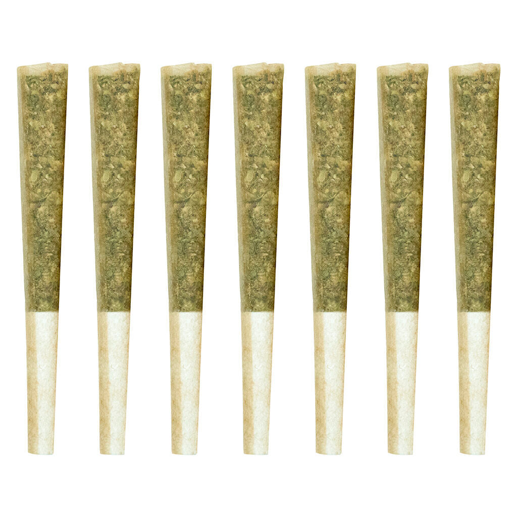 Larry Pre-Roll