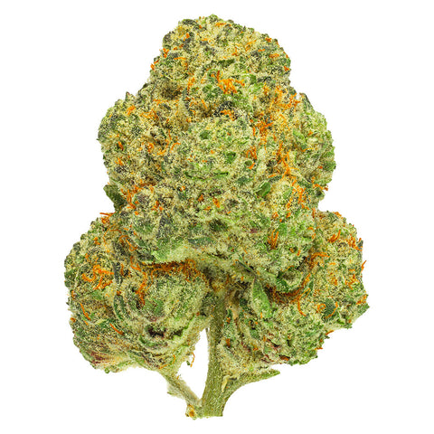 Chemango Kush Photo