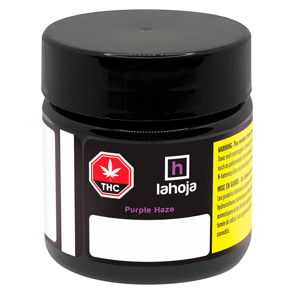 Purple Haze - 