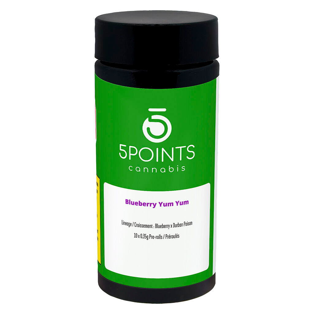 Blueberry Yum Yum Pre-Roll - 