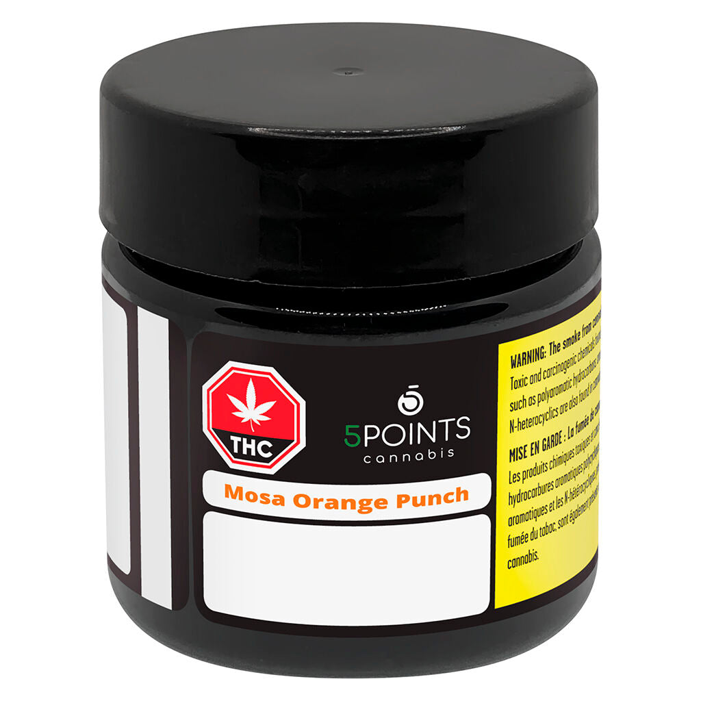 Mosa Orange Punch - 