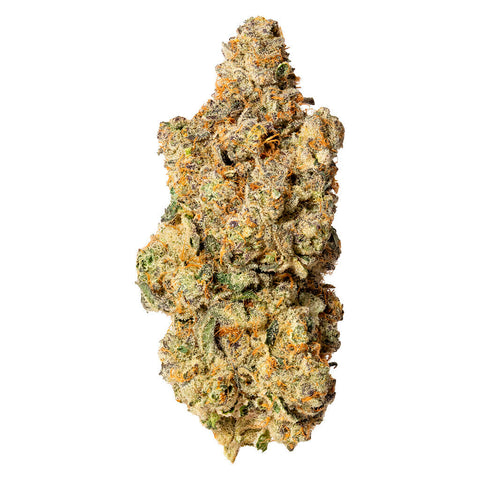 Photo Original Sativa