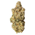 Blanh Sativa