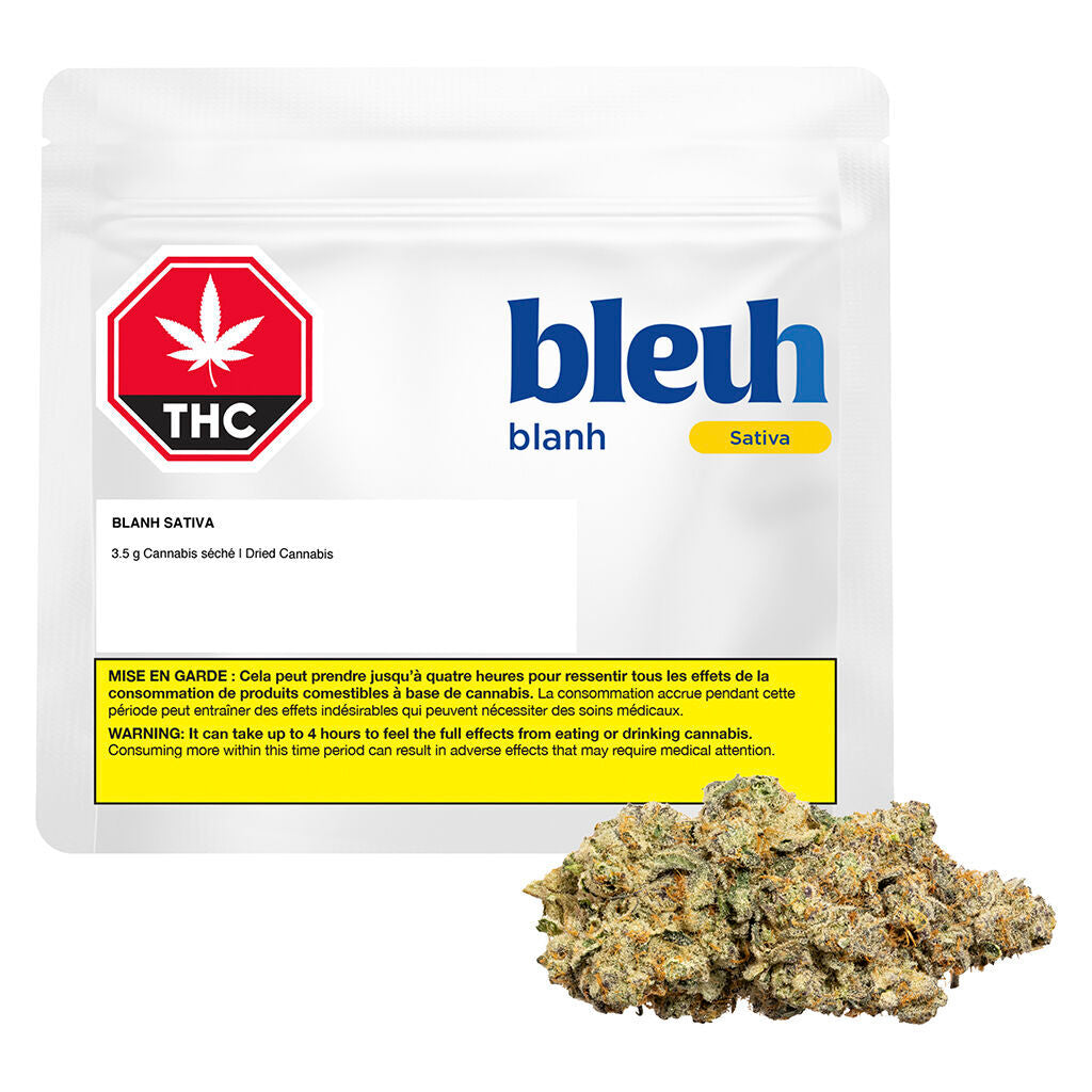 Blanh Sativa