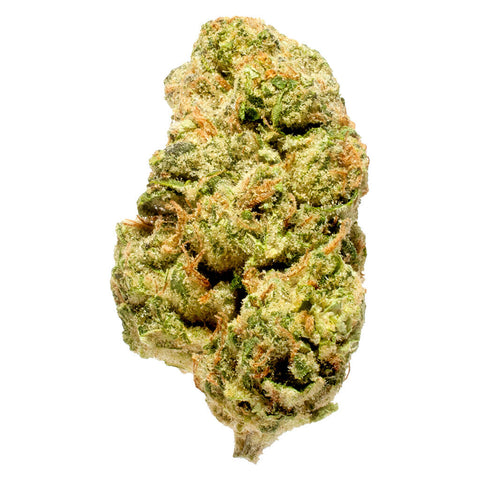 Photo Blanh Indica