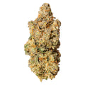 Blanh Sativa