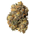 Blakh Kush