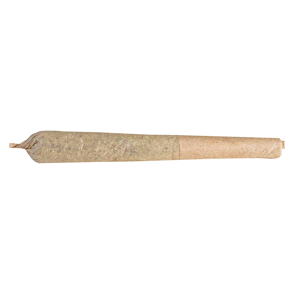 Paulander Purple Pre-Roll - 