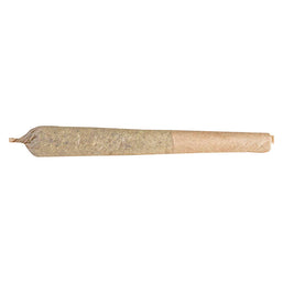 Photo Paulander Purple Pre-Roll