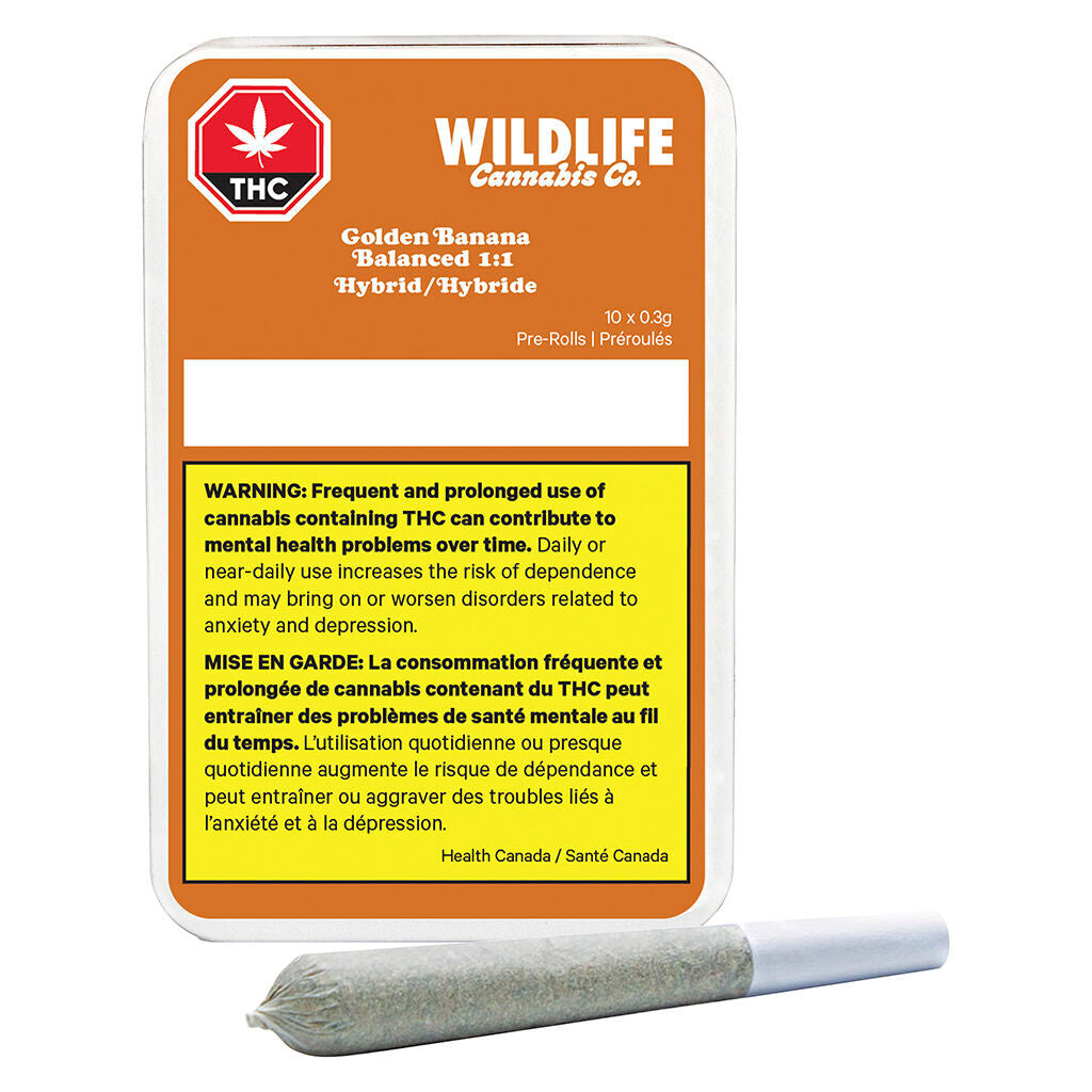 Golden Banana 1:1 Balanced Pre-Roll - 