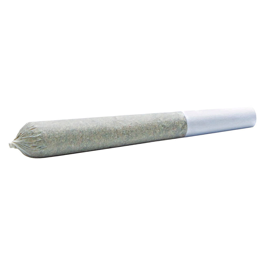 Cosmic Wedding Pre-Roll - 