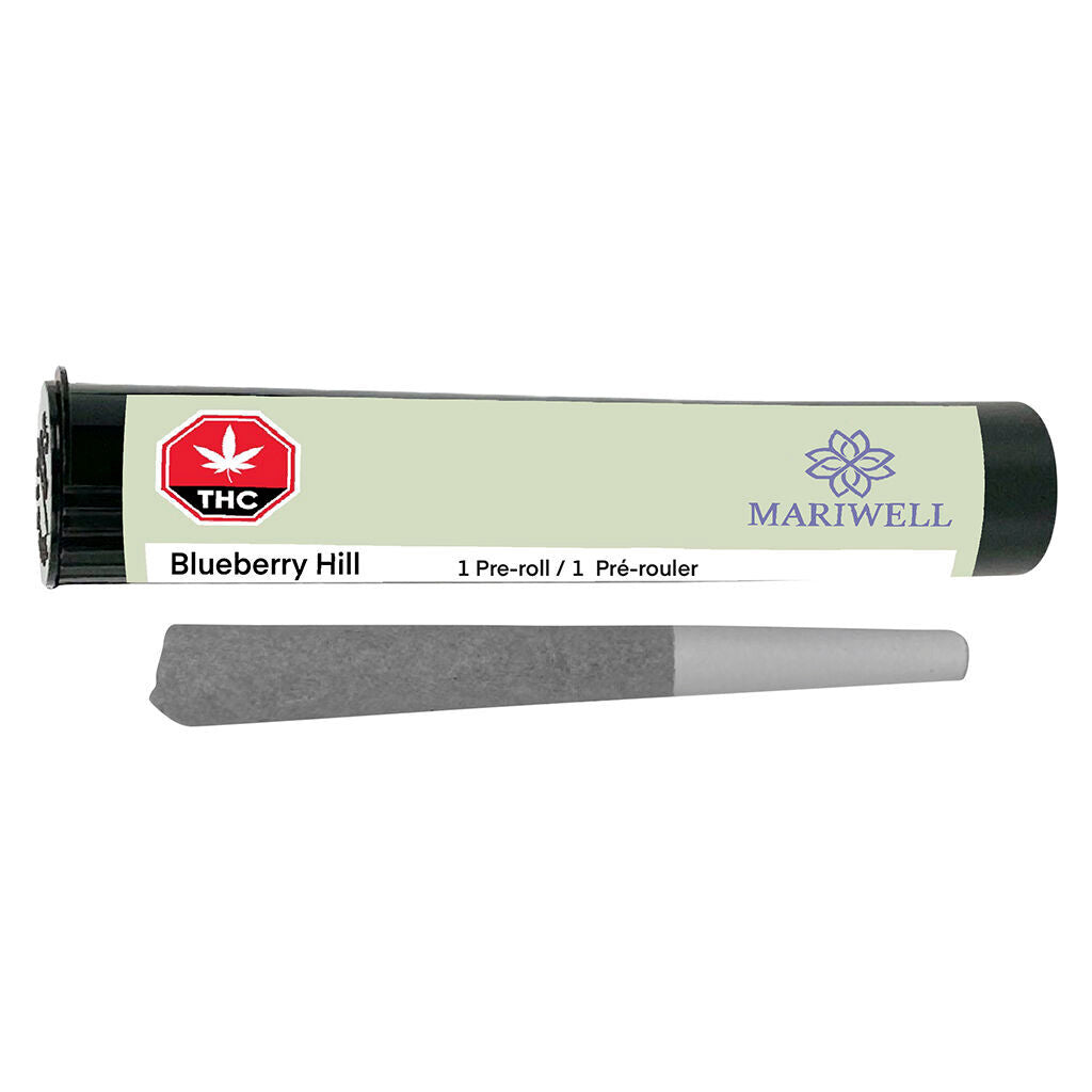 Blueberry Hill Pre-Roll - 