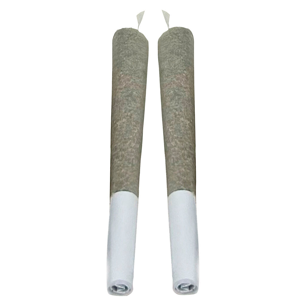 Wi-fi Mintz Pre-roll - 