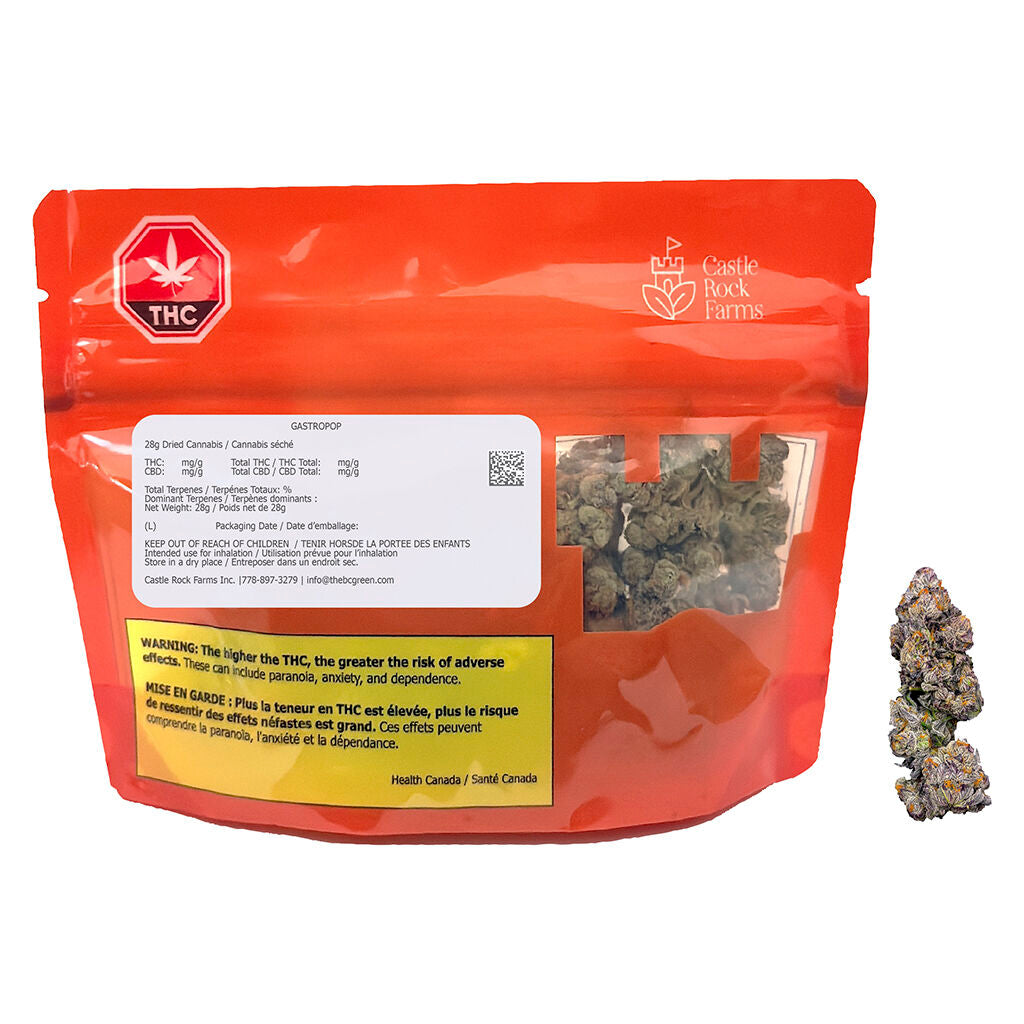 GastroPop - 