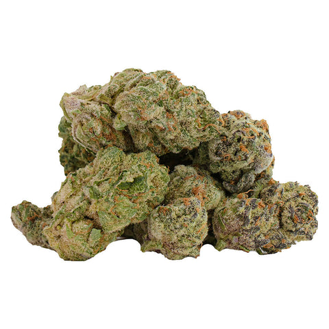 Photo Glitterbomb x Rainbow Cheddar #5