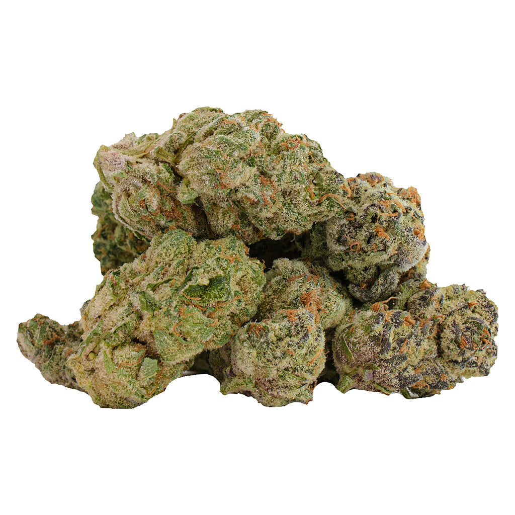 Glitterbomb X Rainbow Cheddar #5 - 