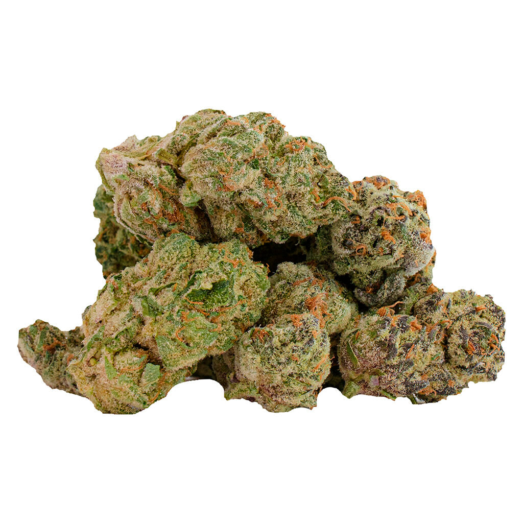 Glitterbomb X Rainbow Cheddar #5 - 