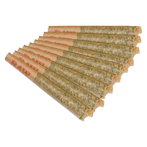 Photo Goofiez Pre-Roll