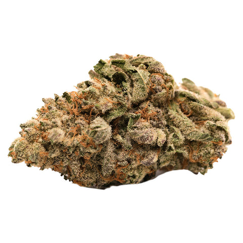 Grease Monkey Photo