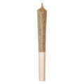 Morning Mojo Pre-Roll