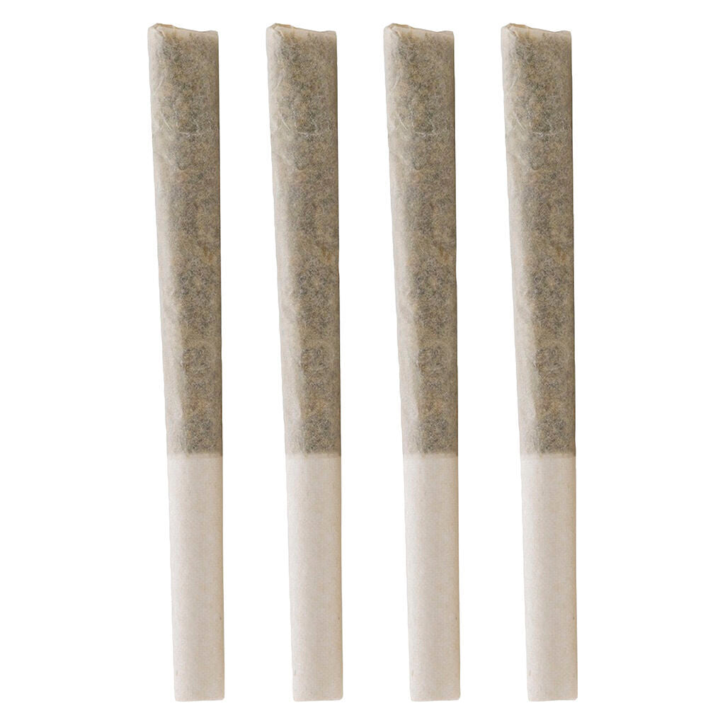 Stoney Baloney Infused Pre-Roll - 