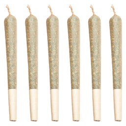 Photo Itsy Bitsy Tipsy Pre-Roll