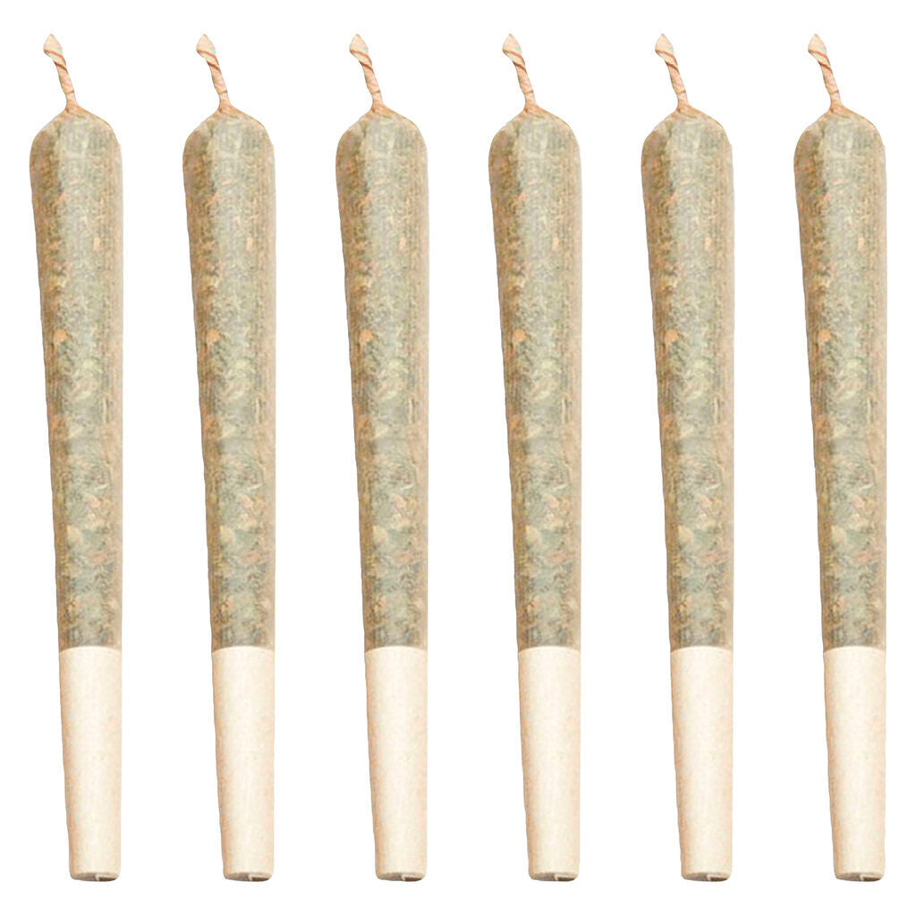 Itsy Bitsy Tipsy Pre-Roll - 