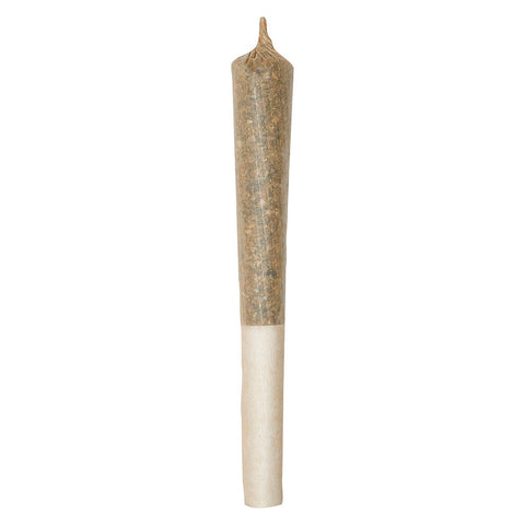 Photo Itsy Bitsy Tipsy Reefer Rolls