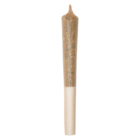 Photo Itsy Bitsy Tipsy Zest Zingers Pre-Rolls