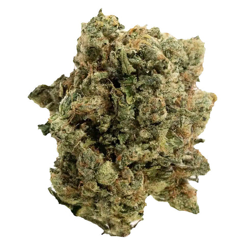 Photo The Handy Harvest