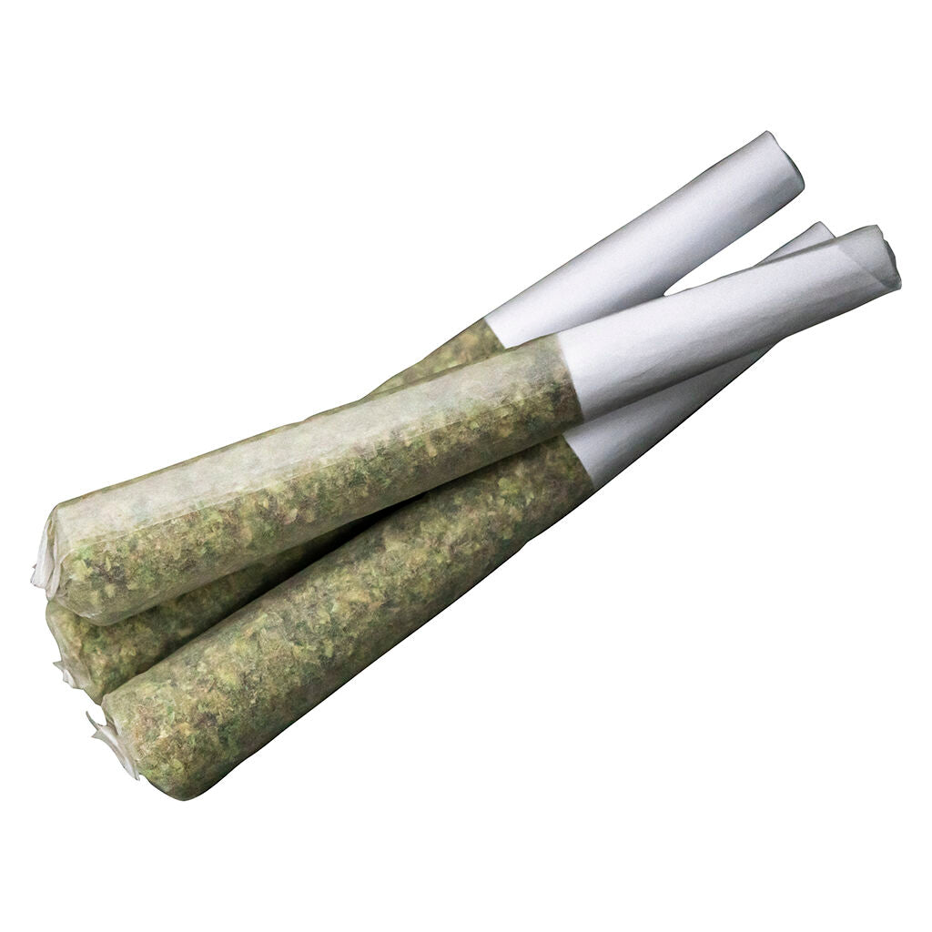 33 Splitter Pre-Roll - 