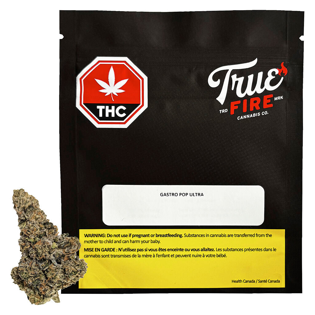 Gastro Pop Ultra - 