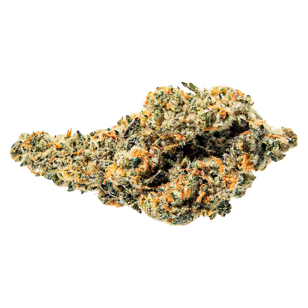 Tropical Meltdown - 
