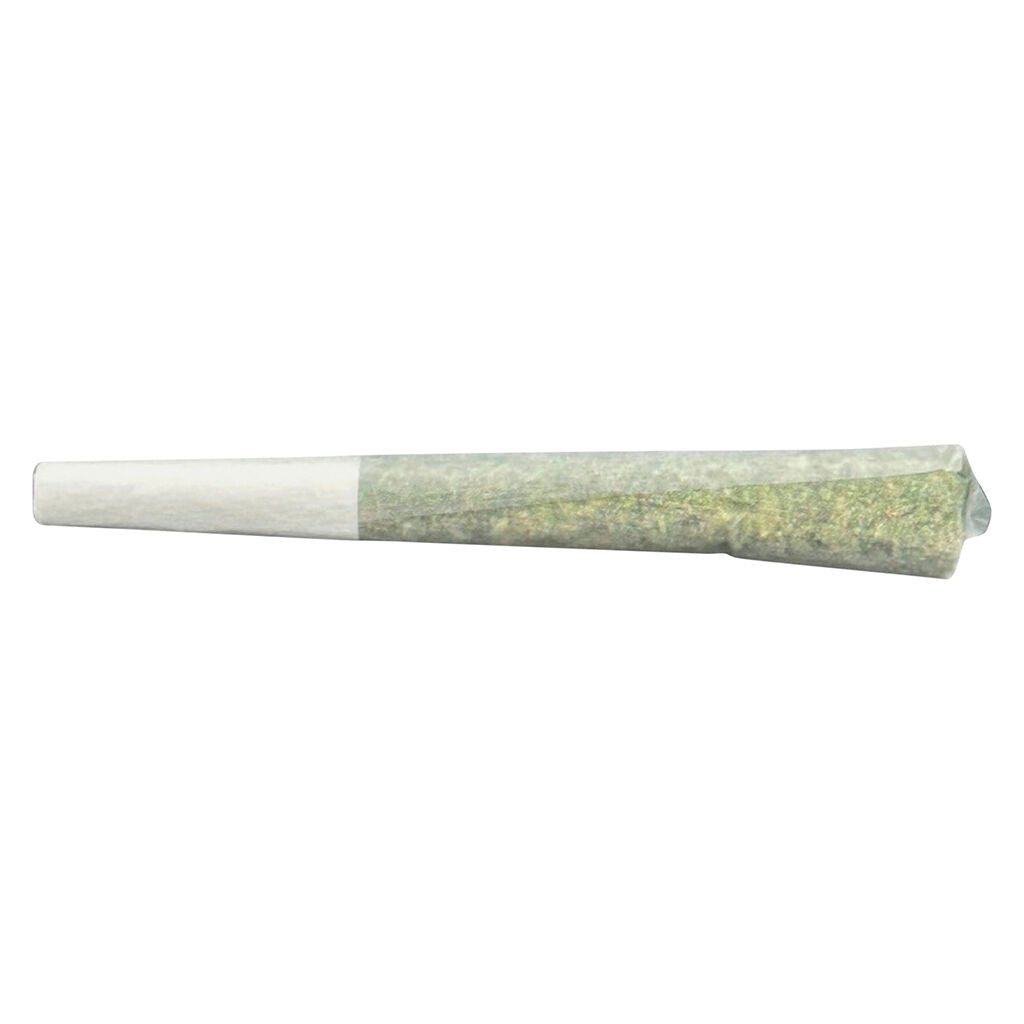 GMO Infused Pre-Roll - 