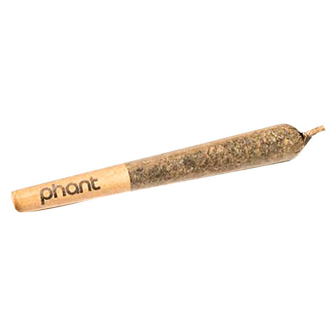 Photo Orange Cream Diamond Infused Pre-Roll