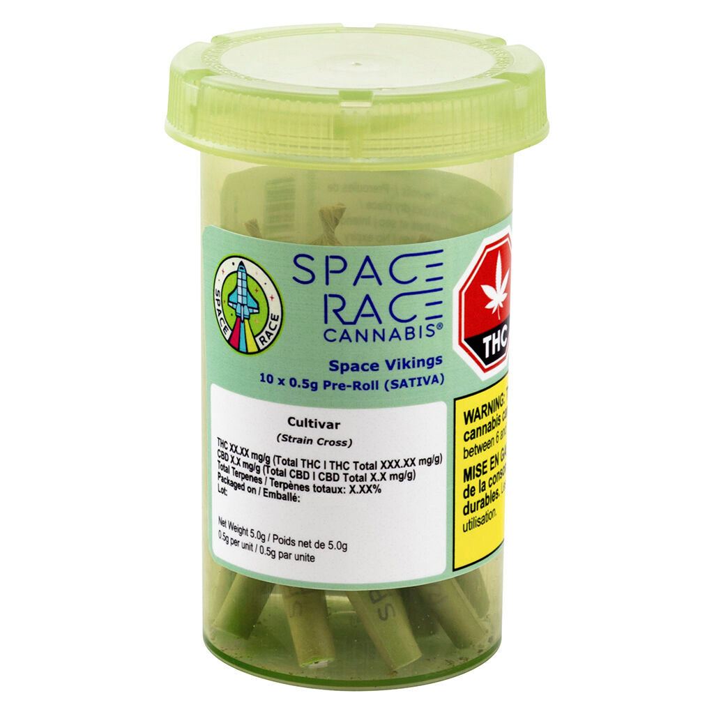 Space Vikings Pre-Roll - 