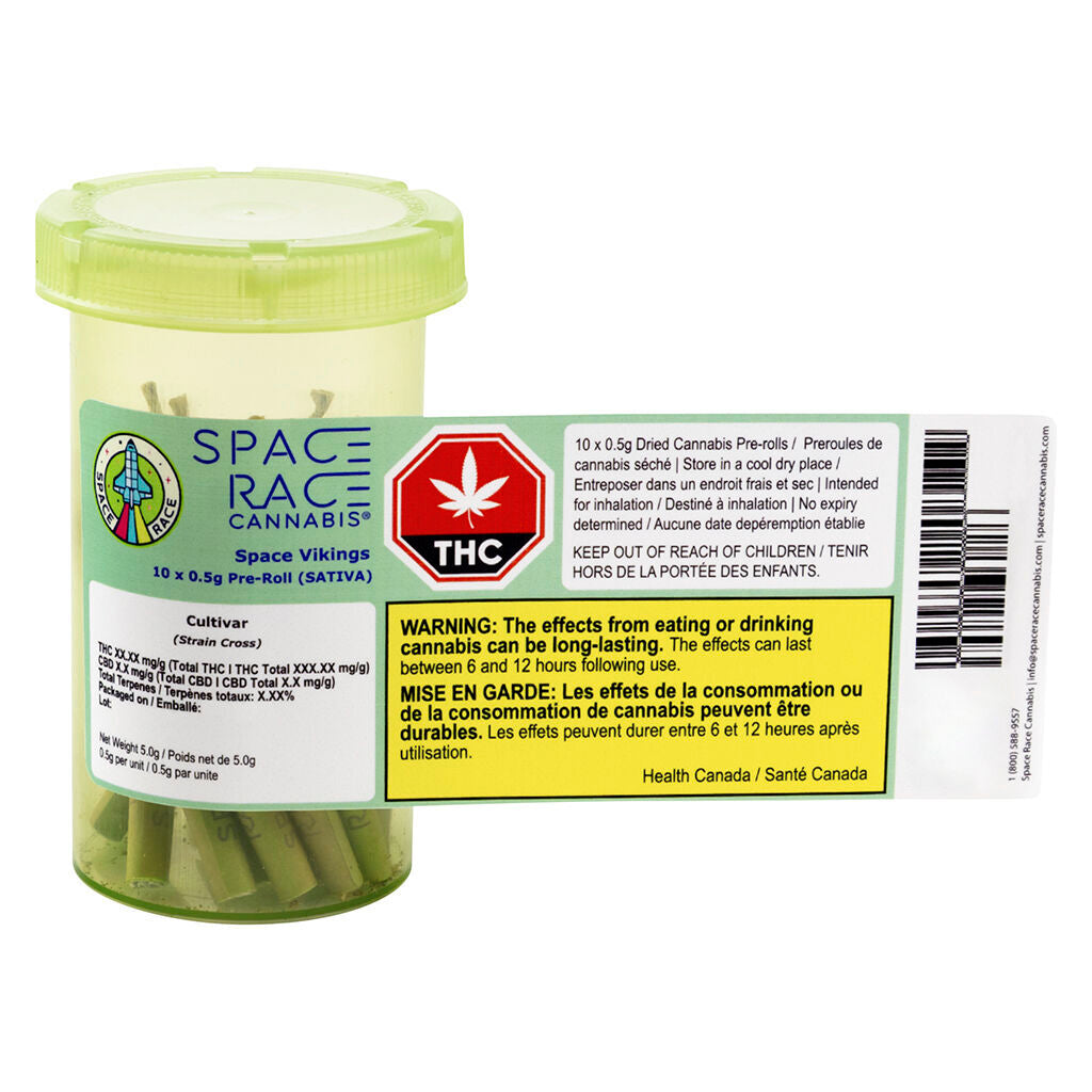 Space Vikings Pre-Roll