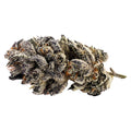 Rotational 1 - Tectonic Truffle